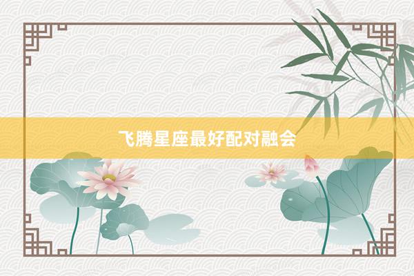 飞腾星座最好配对融会