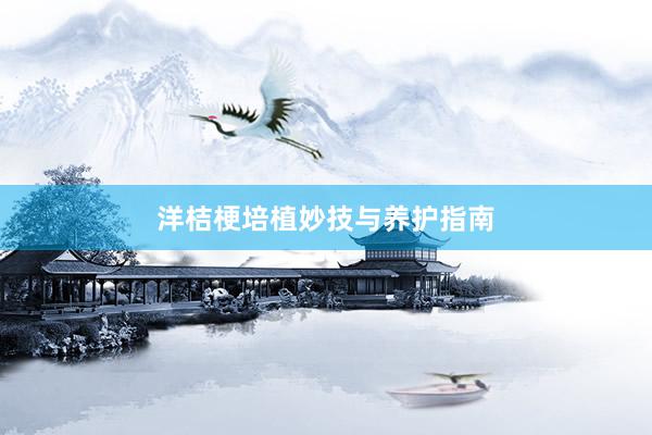 洋桔梗培植妙技与养护指南