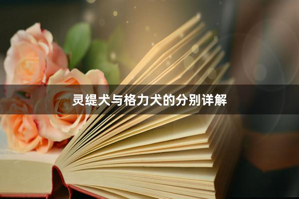 灵缇犬与格力犬的分别详解