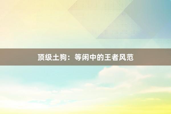 顶级土狗：等闲中的王者风范