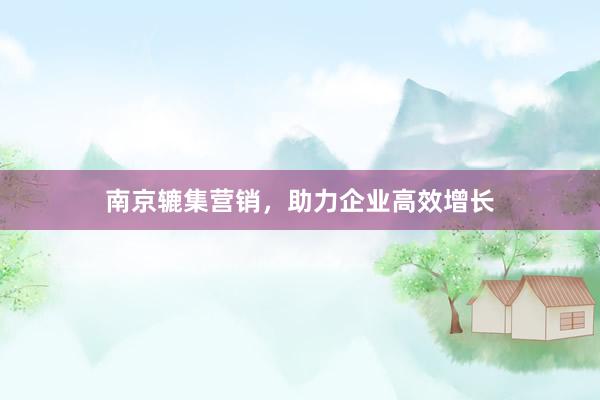 南京辘集营销，助力企业高效增长