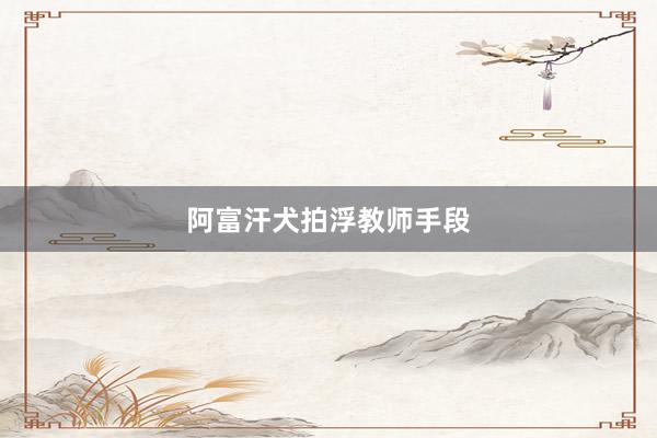 阿富汗犬拍浮教师手段